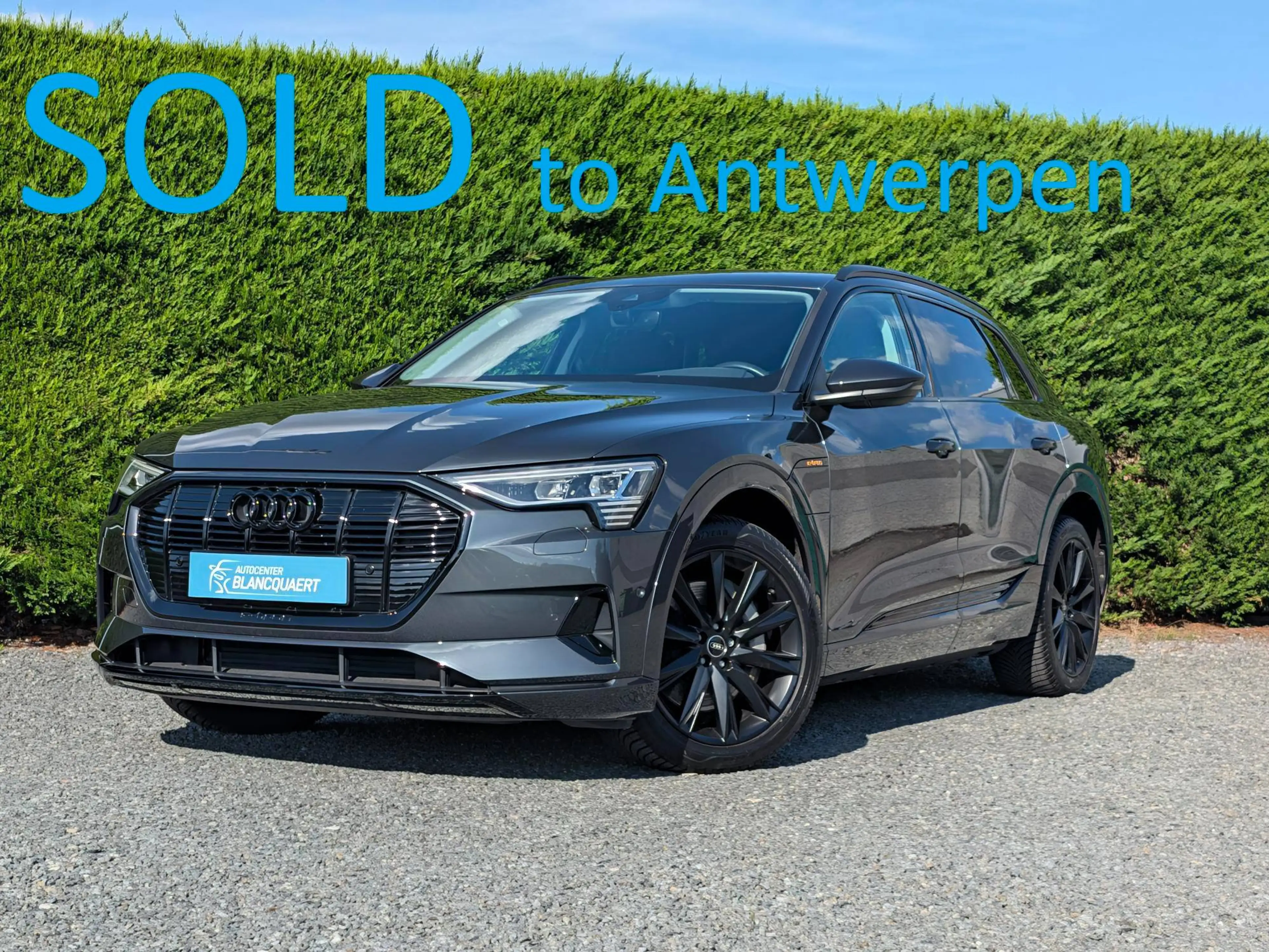 Audi Q8 e-tron (Q8) Trekhaak - camera - quattro - luchtvering