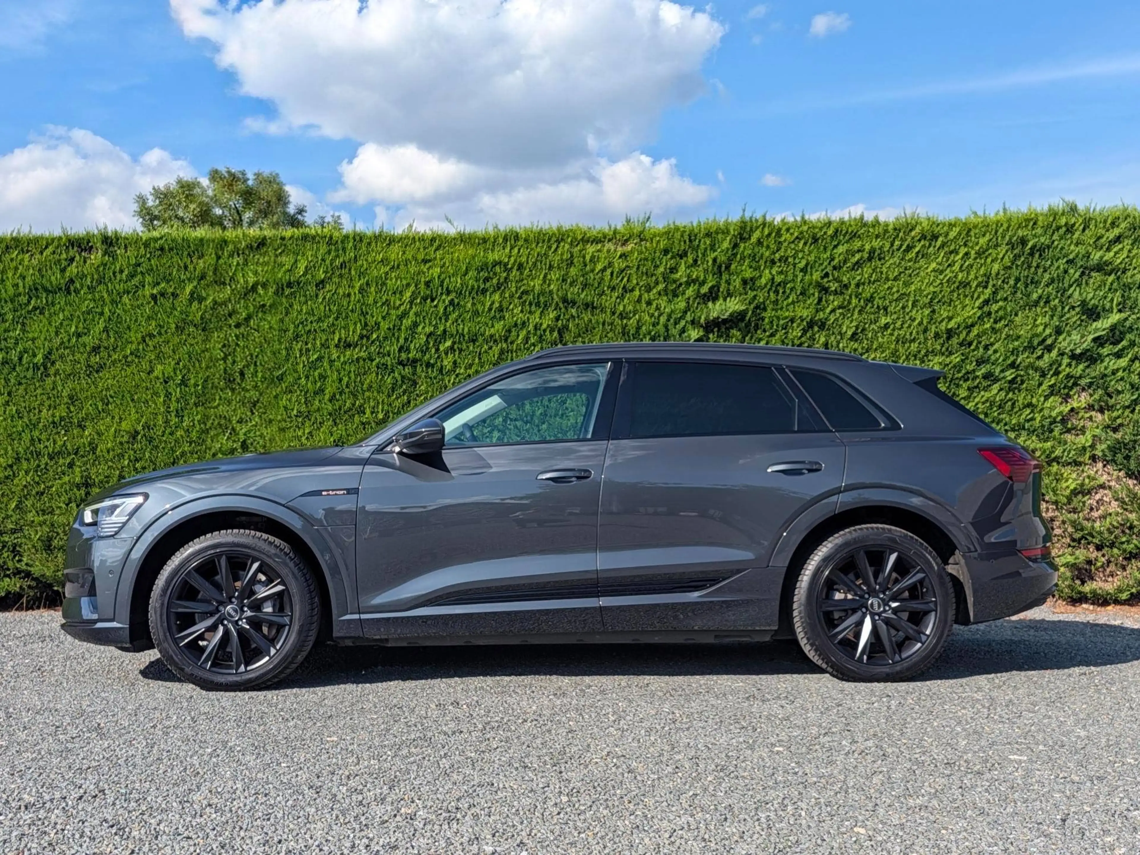 Audi Q8 e-tron (Q8) Trekhaak - camera - quattro - luchtvering — photo 2