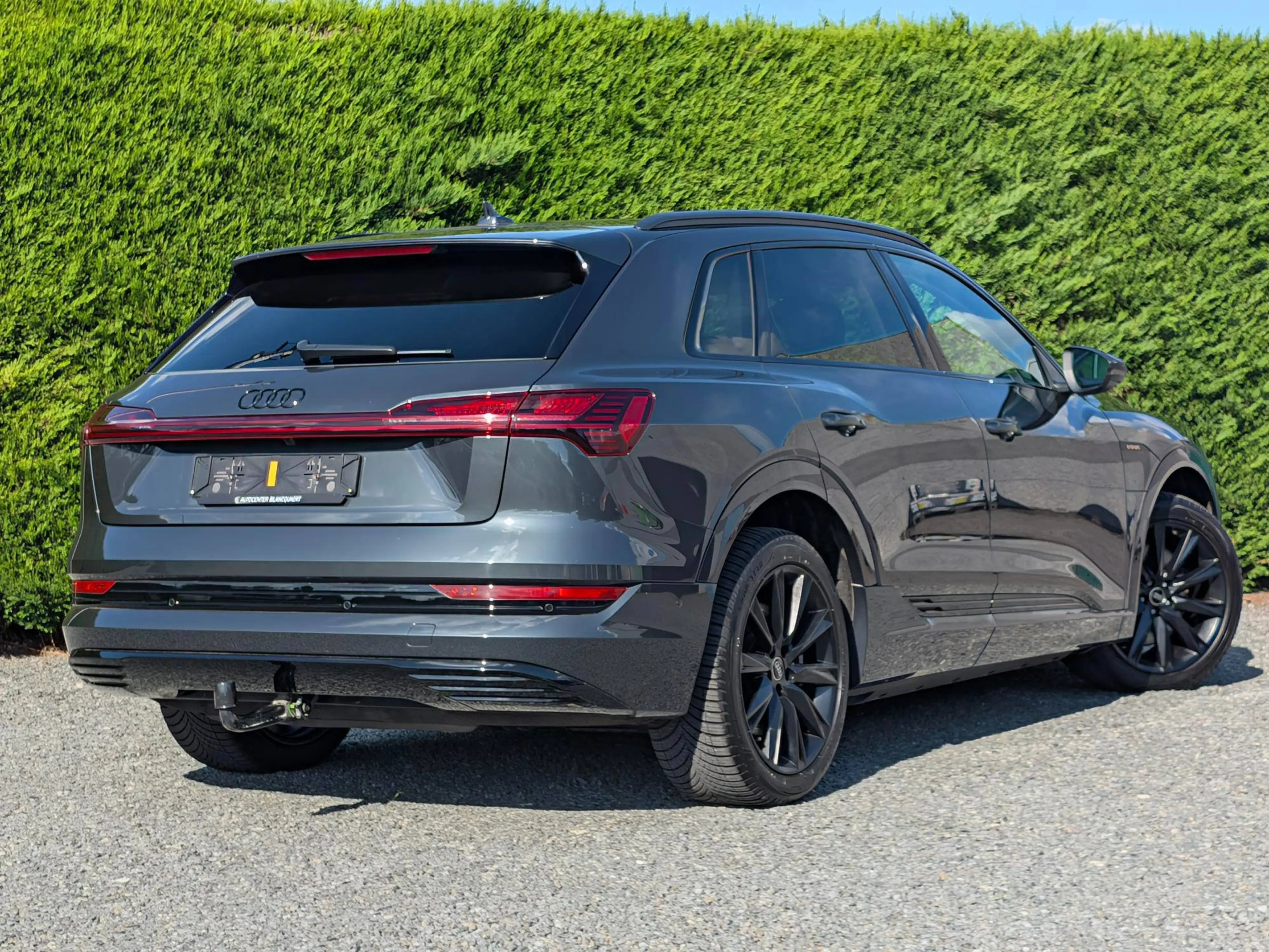 Audi Q8 e-tron (Q8) Trekhaak - camera - quattro - luchtvering — photo 3