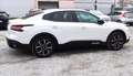 Citroen C4 e-C4 X 100kW  Shine Pack - 50kw/h con garanzia ! Bianco - thumbnail 1