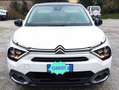 Citroen C4 e-C4 X 100kW  Shine Pack - 50kw/h con garanzia ! Bianco - thumbnail 2