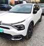 Citroen C4 e-C4 X 100kW  Shine Pack - 50kw/h con garanzia ! Bianco - thumbnail 4