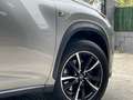 Lexus NX 300 300h F Sport 4WD + Navibox Beige - thumbnail 6