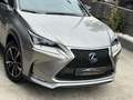 Lexus NX 300 300h F Sport 4WD + Navibox Beige - thumbnail 10