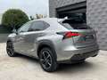 Lexus NX 300 300h F Sport 4WD + Navibox Beige - thumbnail 5