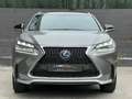 Lexus NX 300 300h F Sport 4WD + Navibox Beige - thumbnail 3