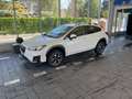 Subaru XV XV II 2017 1.6 Style lineartronic my19 BENZINA/GPL Bianco - thumbnail 5