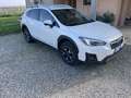 Subaru XV XV II 2017 1.6i Style lineartronic my19 Bianco - thumbnail 2