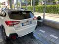Subaru XV XV II 2017 1.6 Style lineartronic my19 BENZINA/GPL Bianco - thumbnail 6