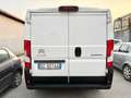 Citroen Jumper Bianco - thumbnail 4