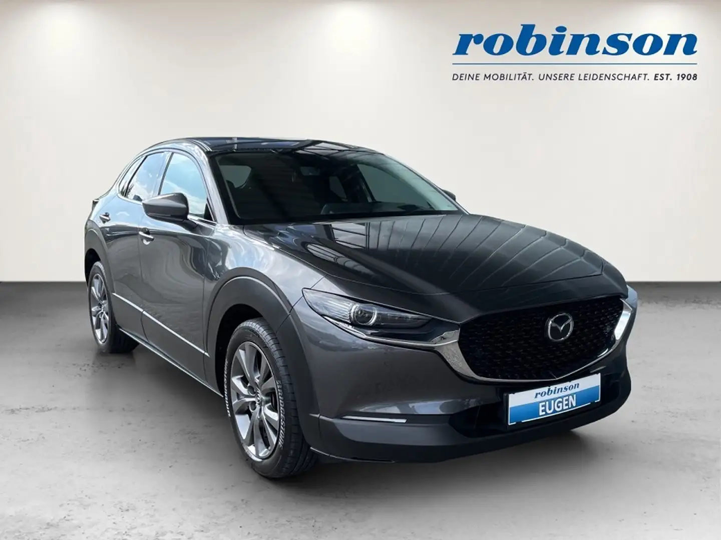 Mazda CX-30 X186 GT+/SO Grau - 1