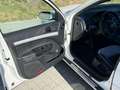Skoda Octavia RS DSG Weiß - thumbnail 18