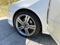 Skoda Octavia RS DSG Weiß - thumbnail 19