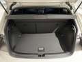 Volkswagen Polo EDITION 50 1,0 l TSI OPF (116 PS) 7-Gang-DSG Gris - thumbnail 6