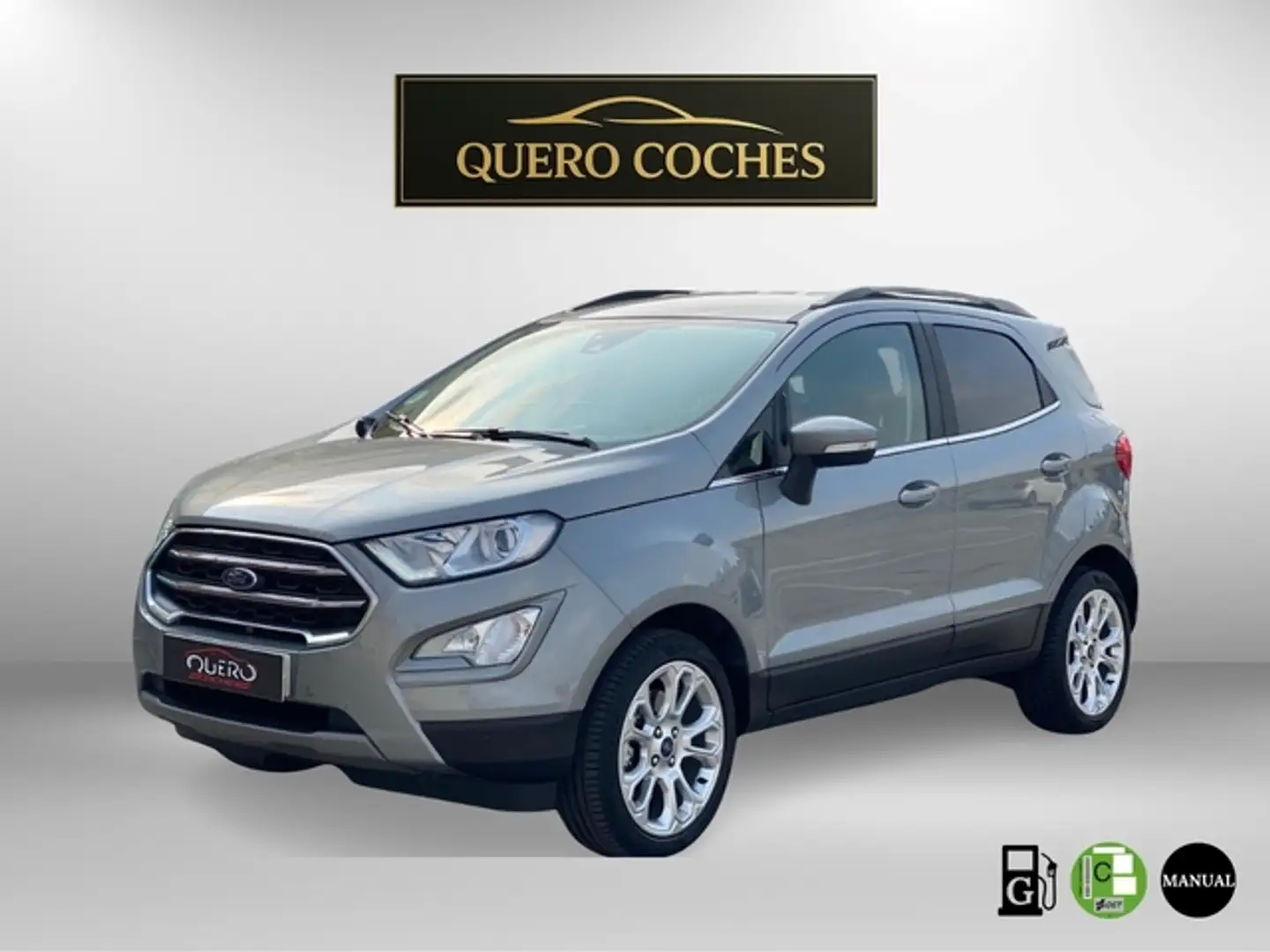 Ford EcoSport 1.0 EcoBoost Titanium 125 Gris - 1