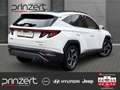 Hyundai TUCSON 1.6 PHEV "Prime" Krell*Assit." "360" 4WD Weiß - thumbnail 3