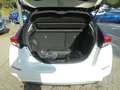 Nissan Leaf e+ Tekna 63 kWh, LED, Bose, 2 Farben 360° Alb - thumbnail 11