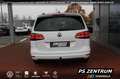 Volkswagen Sharan 2.0 TDI DSG Comfortline Allstar AHK NAVI Білий - thumbnail 4