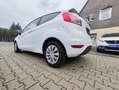 Ford Fiesta 1.25 Trend//Klima/gepflegt/1.Hand/kein Eco Boost/ Blanc - thumbnail 25