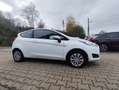 Ford Fiesta 1.25 Trend//Klima/gepflegt/1.Hand/kein Eco Boost/ Blanc - thumbnail 16
