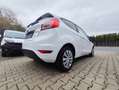 Ford Fiesta 1.25 Trend//Klima/gepflegt/1.Hand/kein Eco Boost/ Blanc - thumbnail 21