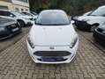 Ford Fiesta 1.25 Trend//Klima/gepflegt/1.Hand/kein Eco Boost/ Blanc - thumbnail 12
