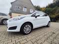 Ford Fiesta 1.25 Trend//Klima/gepflegt/1.Hand/kein Eco Boost/ Blanc - thumbnail 15