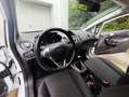Ford Fiesta 1.25 Trend//Klima/gepflegt/1.Hand/kein Eco Boost/ Blanc - thumbnail 6