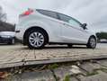 Ford Fiesta 1.25 Trend//Klima/gepflegt/1.Hand/kein Eco Boost/ Blanc - thumbnail 2