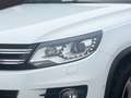Volkswagen Tiguan 1,4 TSI Sport BMT R-Line Weiß - thumbnail 14
