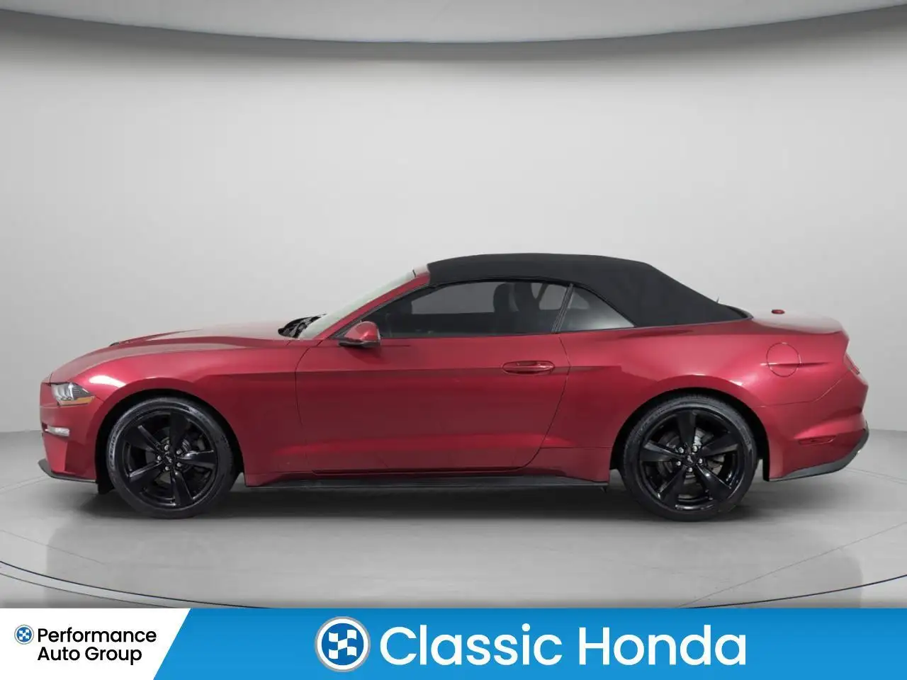 Ford Mustang fotografie Ford Mustang