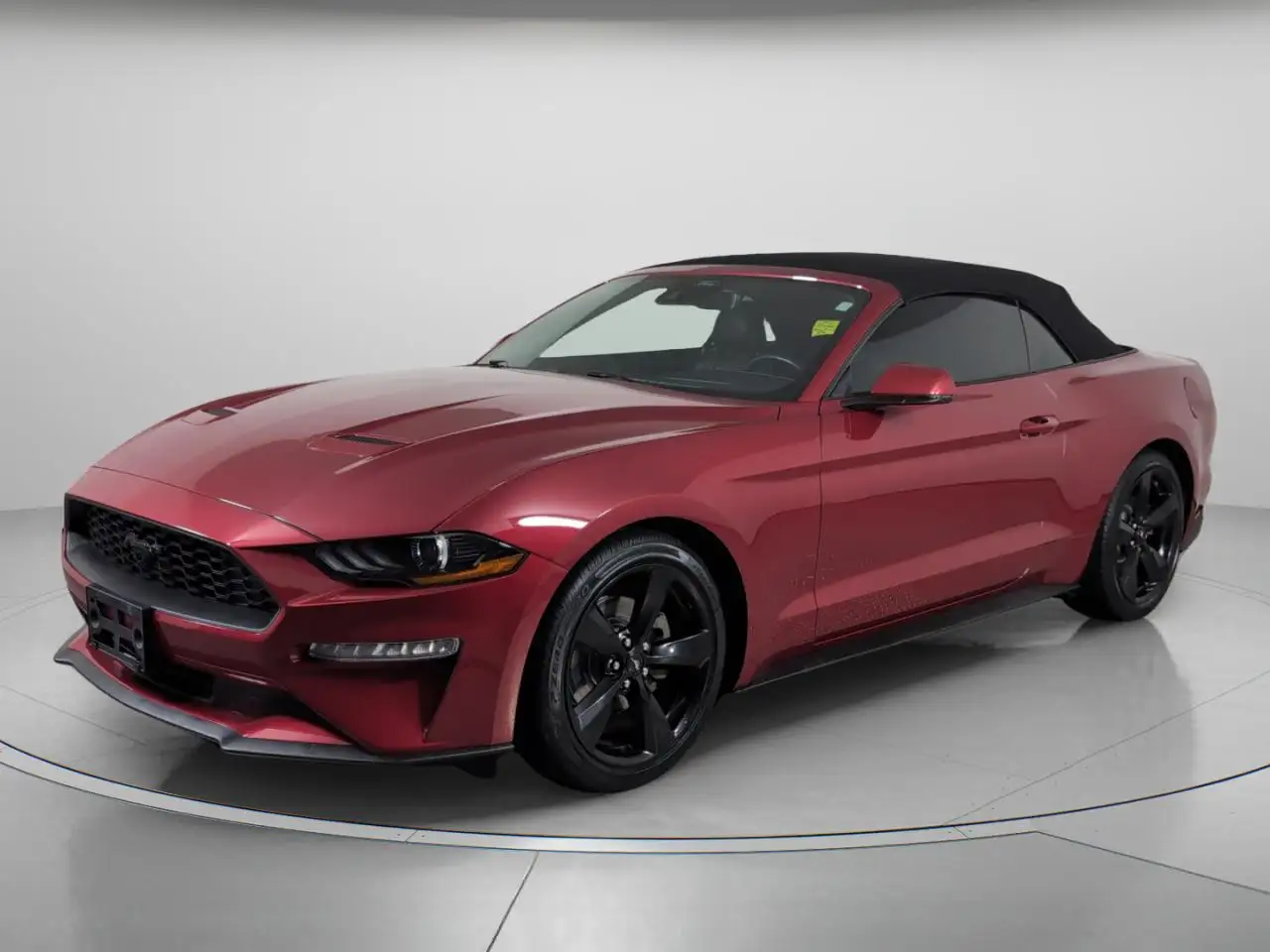 Ford Mustang fotografie Ford Mustang