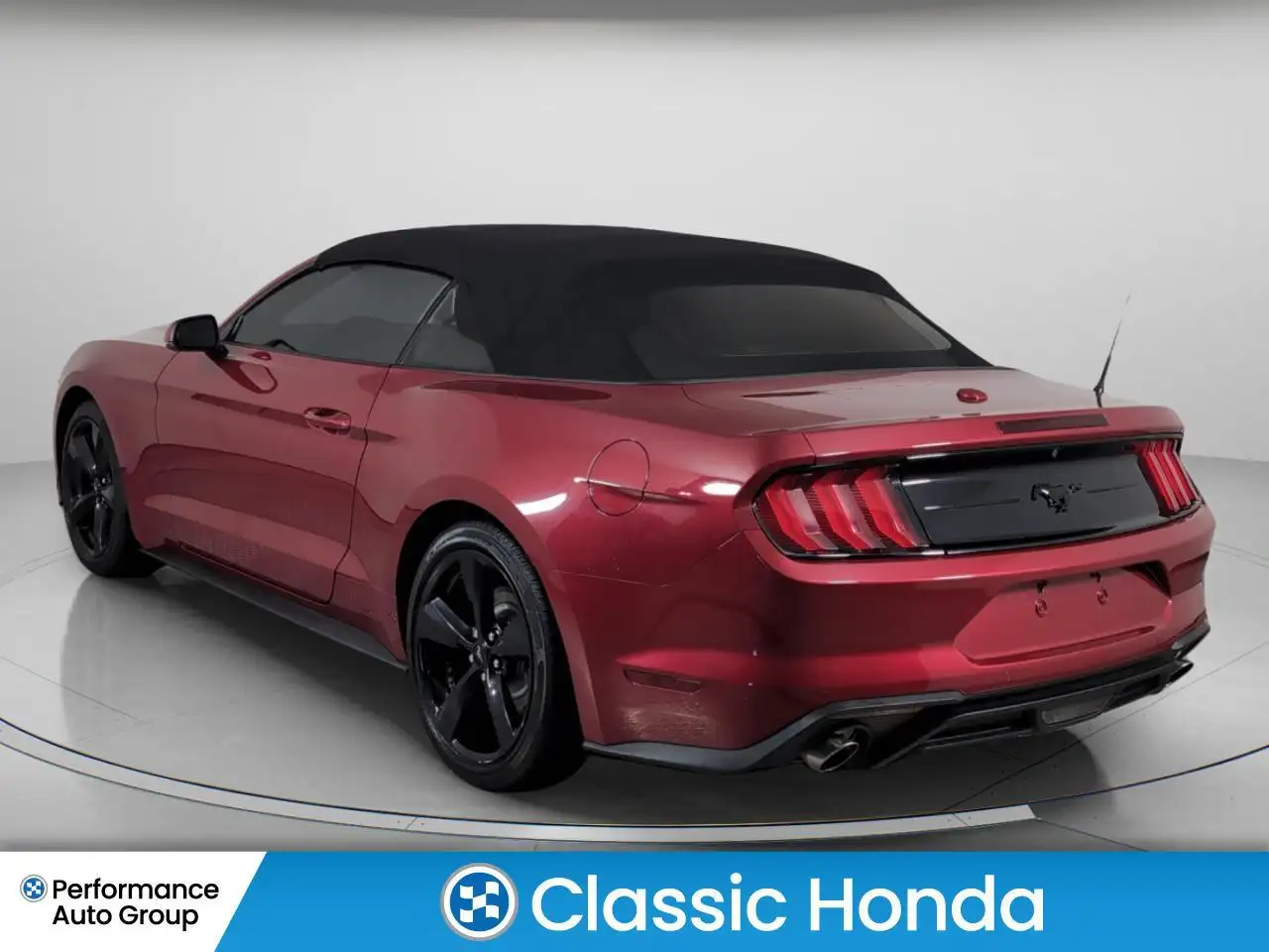 Ford Mustang fotografie Ford Mustang
