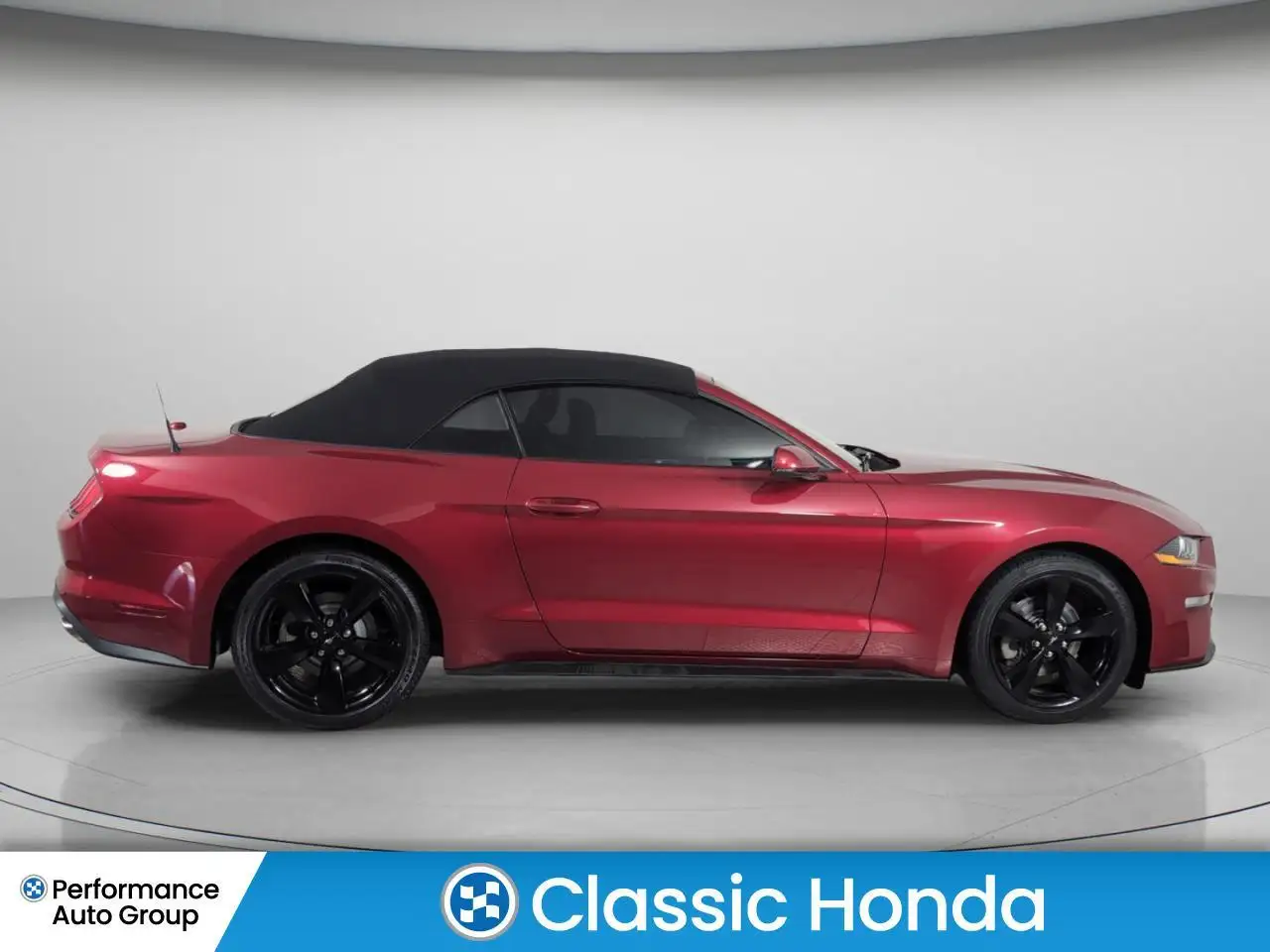 Ford Mustang fotografie Ford Mustang
