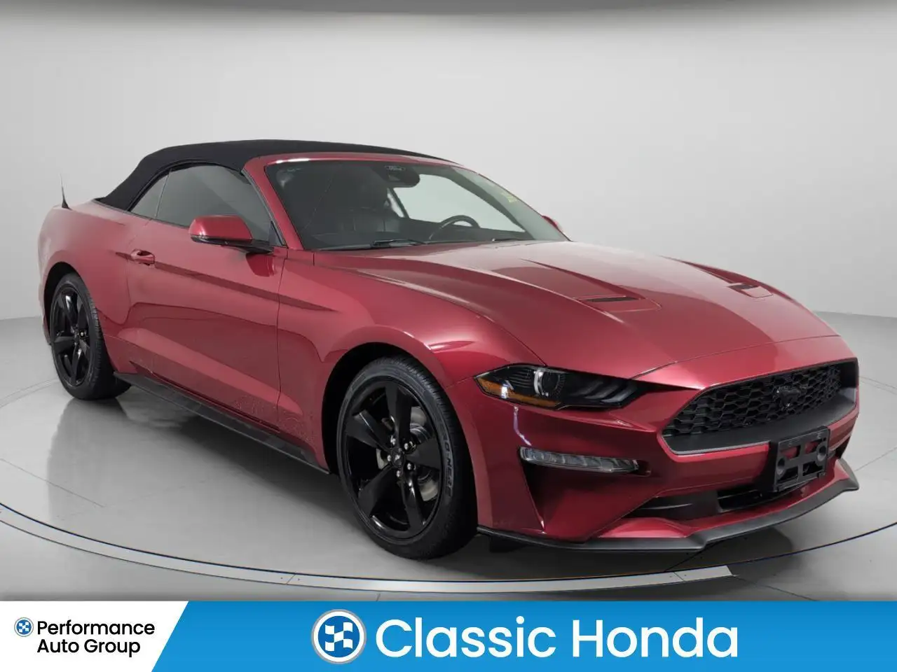 Ford Mustang fotografie Ford Mustang
