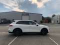 Porsche Cayenne 3.0 TD V6 Tiptronic S - thumbnail 5