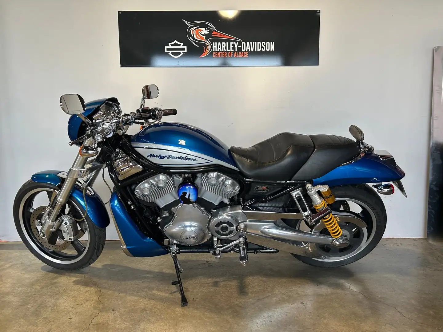 Harley-Davidson Street Rod Bleu - 2