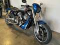 Harley-Davidson Street Rod Bleu - thumbnail 3