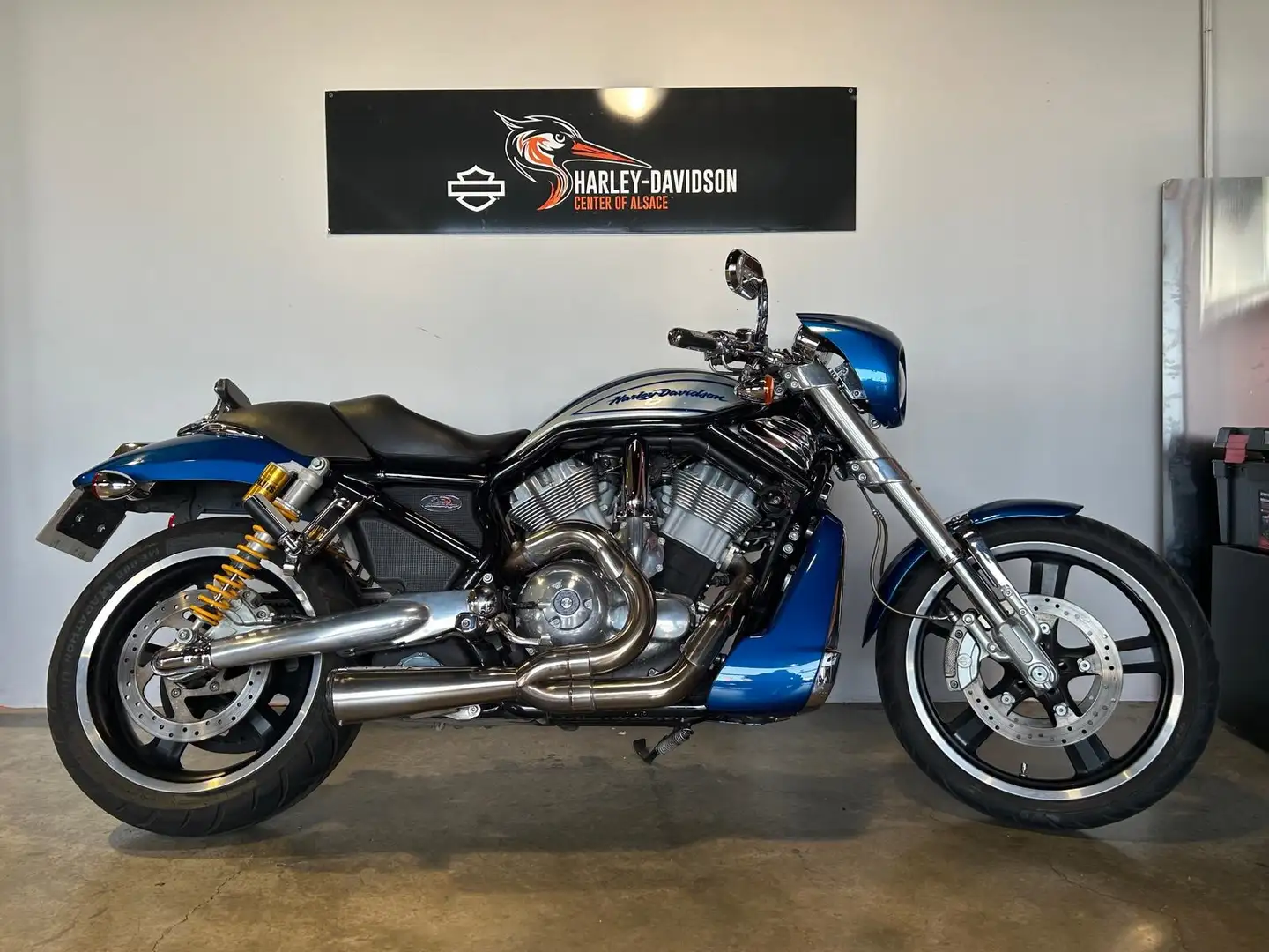 Harley-Davidson Street Rod Bleu - 1