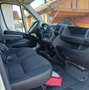 Peugeot Boxer Luxusbus 3000 L1H1 2,0 BlueHDi - thumbnail 10