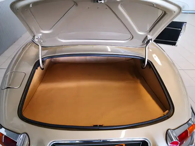 Jaguar E-Type view 12