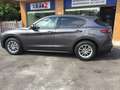 Alfa Romeo Stelvio 2.2 D Business rwd 160cv auto my19 Grigio - thumbnail 6