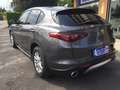 Alfa Romeo Stelvio 2.2 D Business rwd 160cv auto my19 Grigio - thumbnail 5