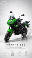 Kawasaki Versys 650