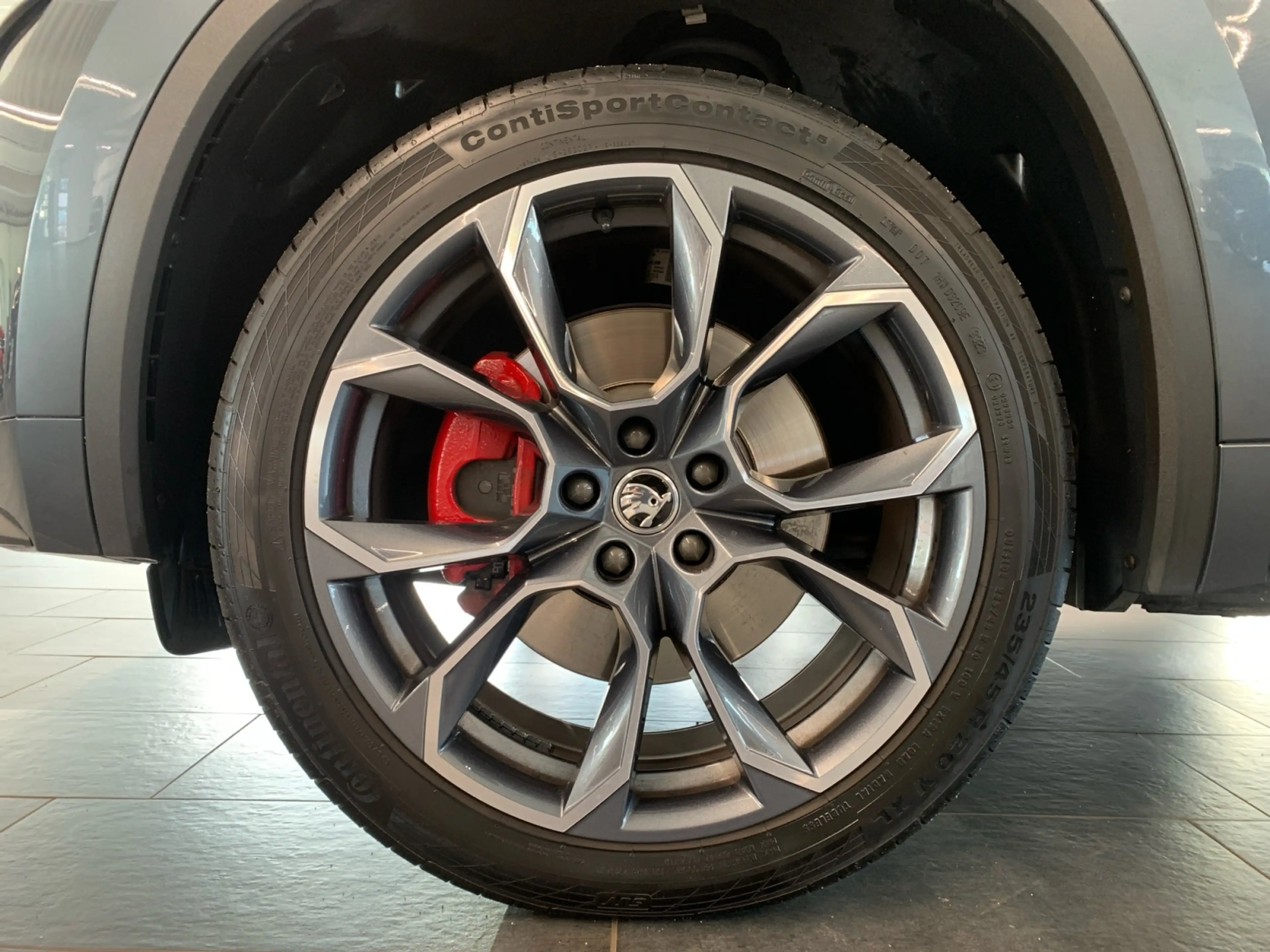 Skoda Kodiaq RS 2.0 TDI DSG AHK 360 STHZG CANTON KESSY NAVI — photo 8