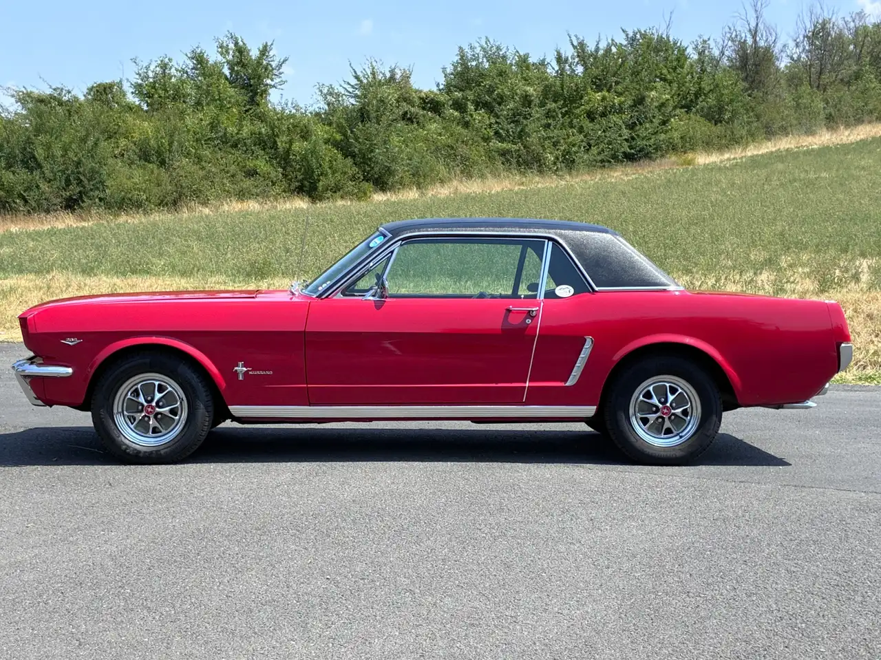 Ford Mustang V8 289 ci 4,7L, foto 2