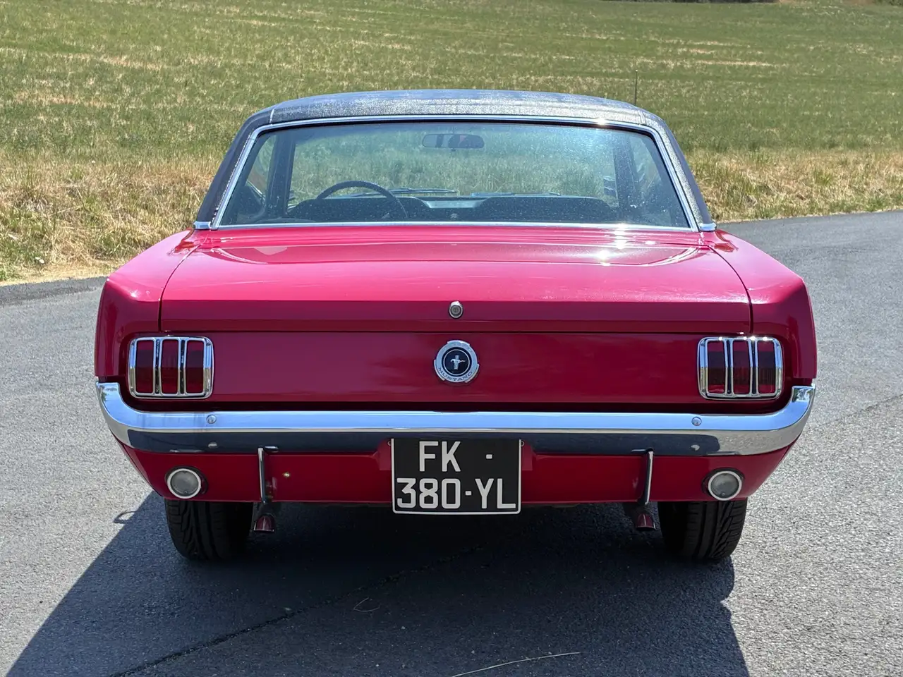Ford Mustang V8 289 ci 4,7L, foto 5