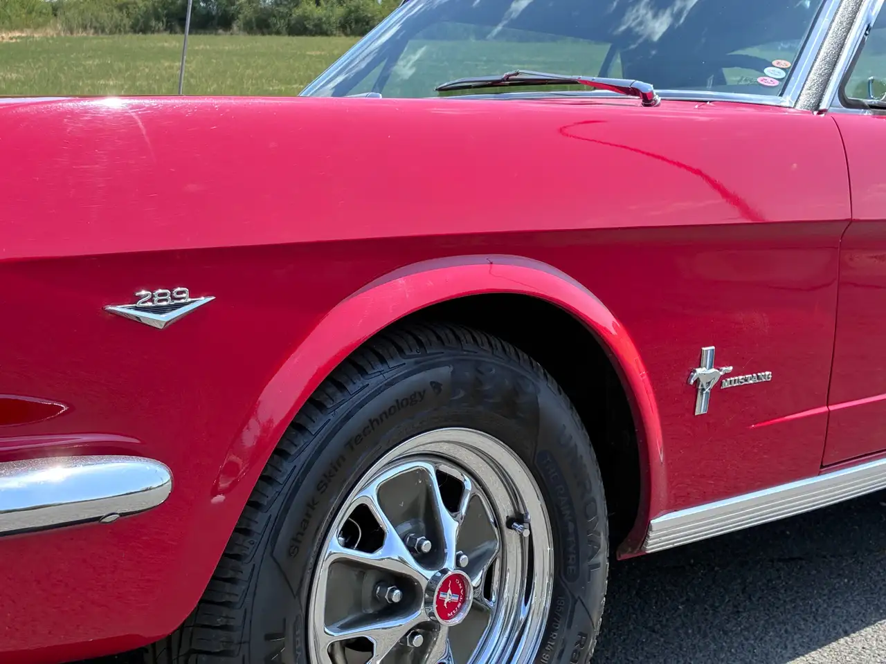 Ford Mustang V8 289 ci 4,7L, foto 11