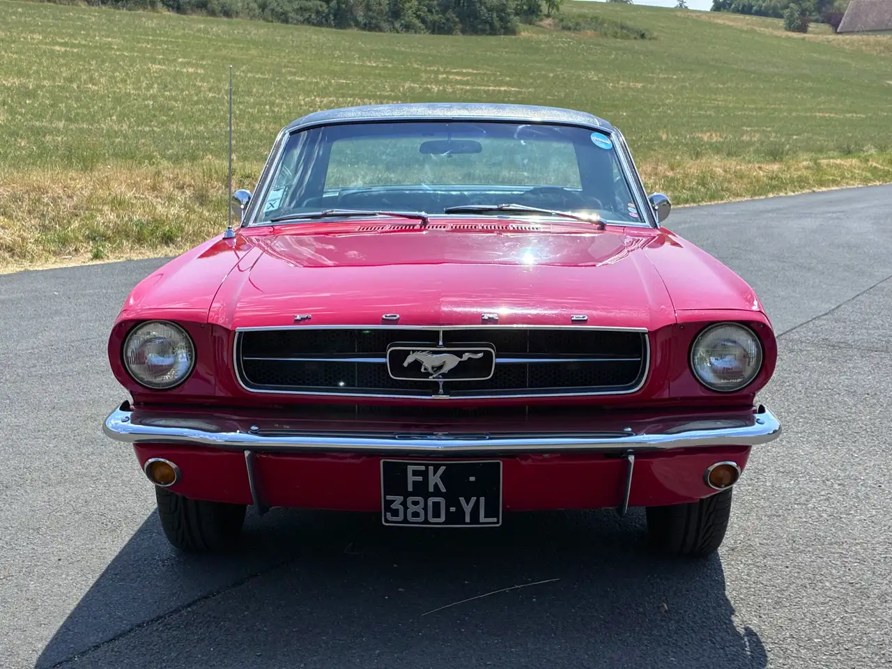 Ford Mustang V8 289 ci 4,7L, foto 4