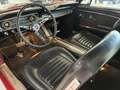 Ford Mustang V8 289 ci 4,7L Rot - thumbnail 7